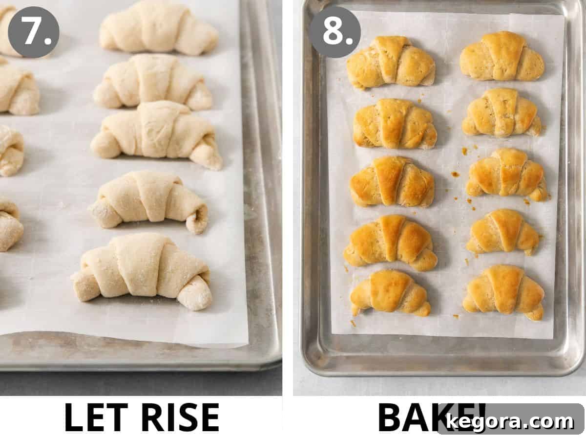 Scrumptious Gluten Free Crescent Rolls 11 Gluten-free crescent rolls, noticeably risen and puffy, sitting on a baking sheet, ready to be baked to golden perfection.