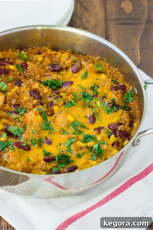 Skillet Southwestern Chicken and Quinoa served with tortilla chips and salad