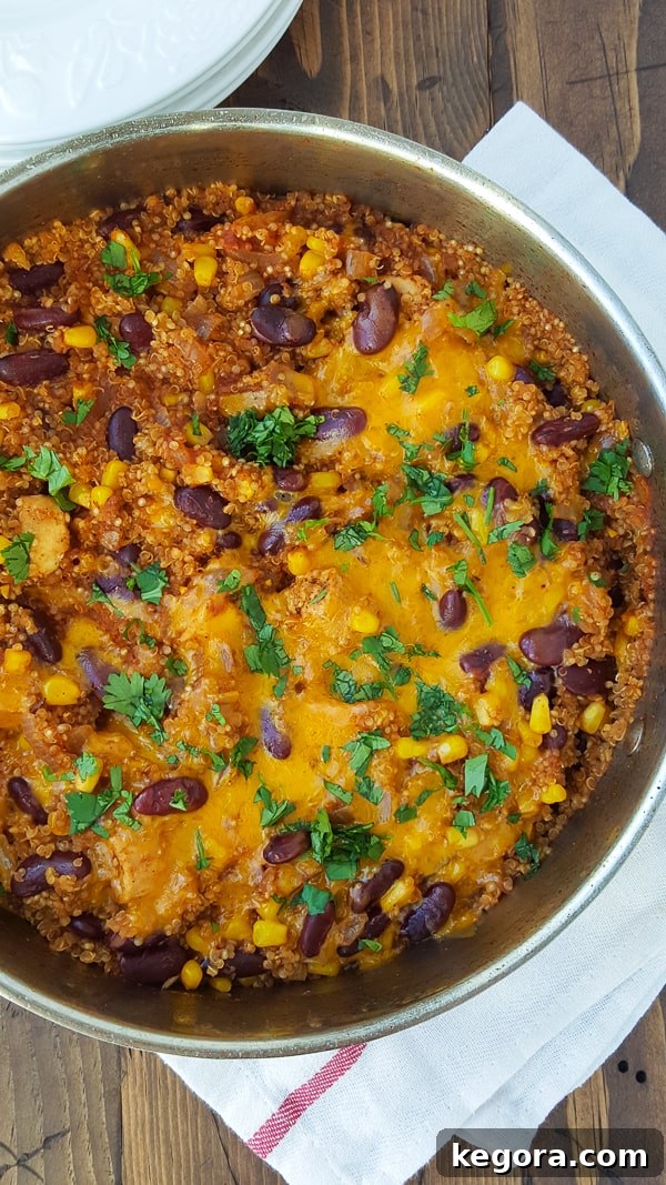 Close-up of Skillet Southwestern Chicken and Quinoa with cheese