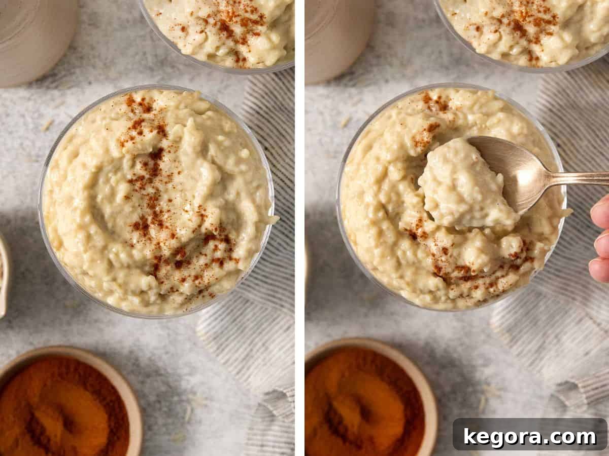 an overhead view of dairy-free rice pudding.