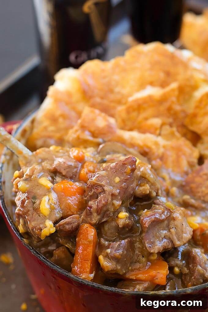 Pub Style Instant Pot Guinness Beef Stew 3 Instant Pot Beef Guinness Stew in a bowl and on a spoon.