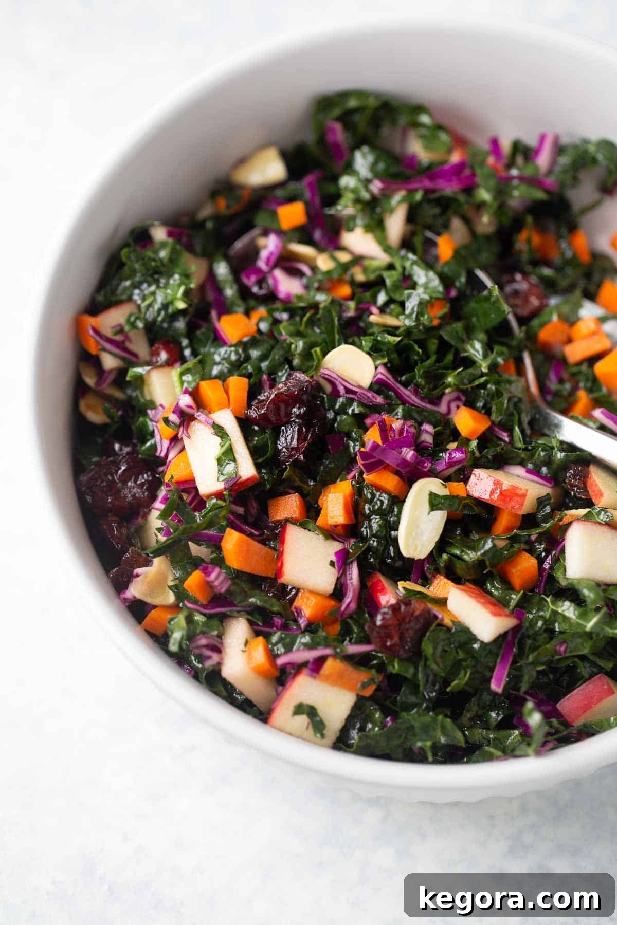 Vibrant Kale Salad with Cranberries in a elegant serving bowl, ready to be enjoyed.