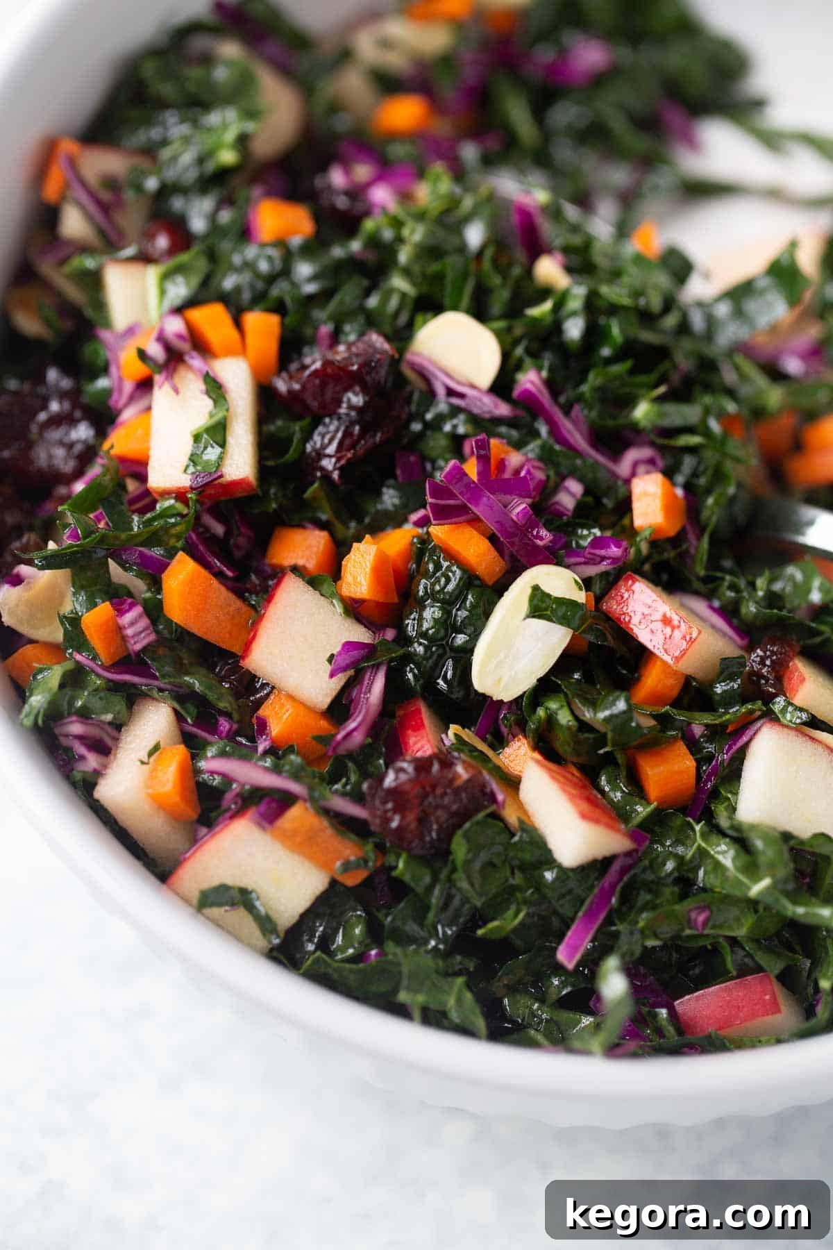 Close-up image of the finished Kale Cranberry Salad, showcasing its inviting texture.