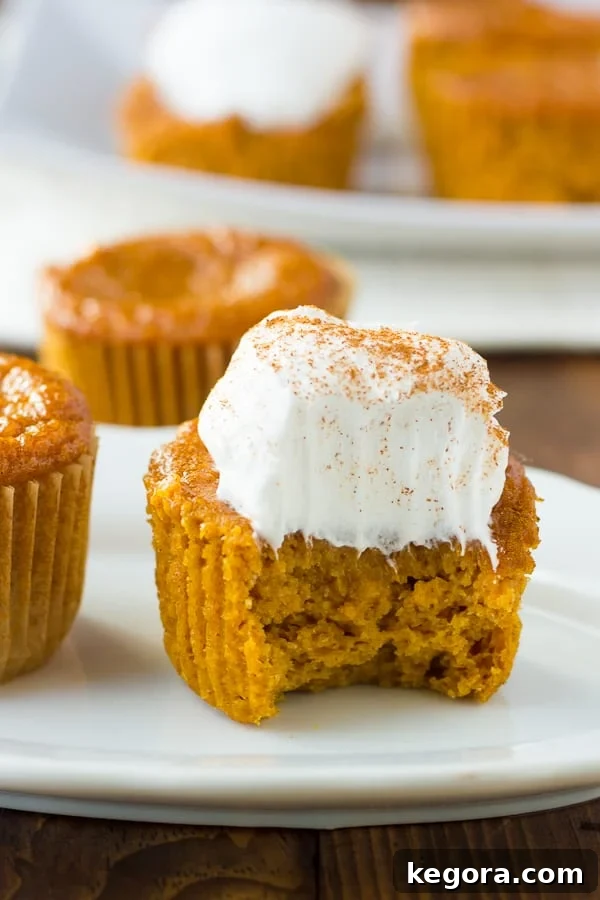 A close-up shot of a gluten-free crustless pumpkin pie cupcake, beautifully presented with a dollop of whipped cream and a sprinkle of cinnamon, featuring a small bite taken out of it.