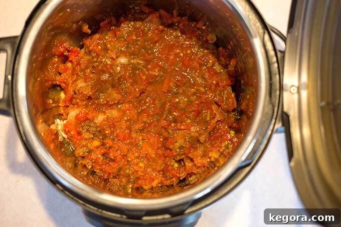 Zesty Instant Pot Salsa Chicken 4 Salsa Chicken ingredients in pressure cooker