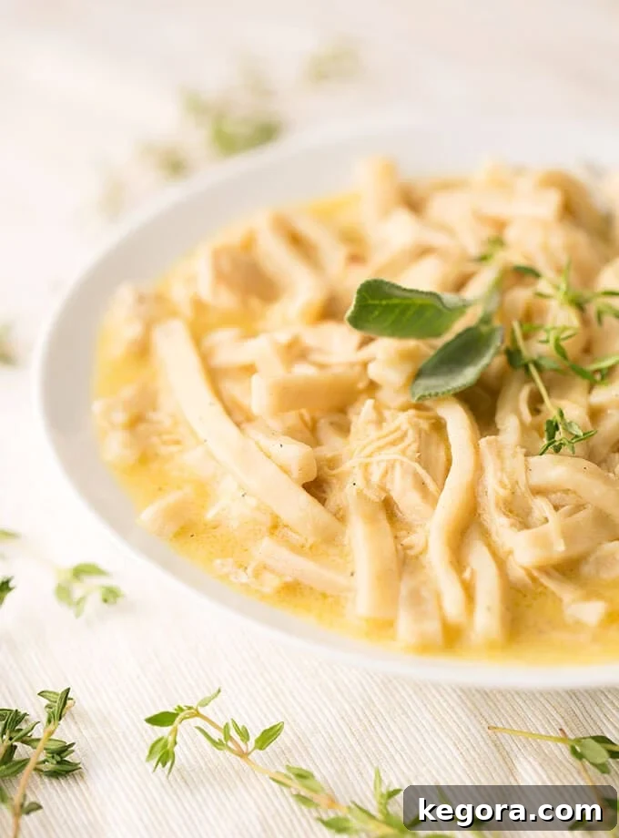 The Most Beloved Instant Pot Dishes of 2017 16 A comforting bowl of Instant Pot Chicken and Noodles, served in a white bowl on a light background, ready to be enjoyed.