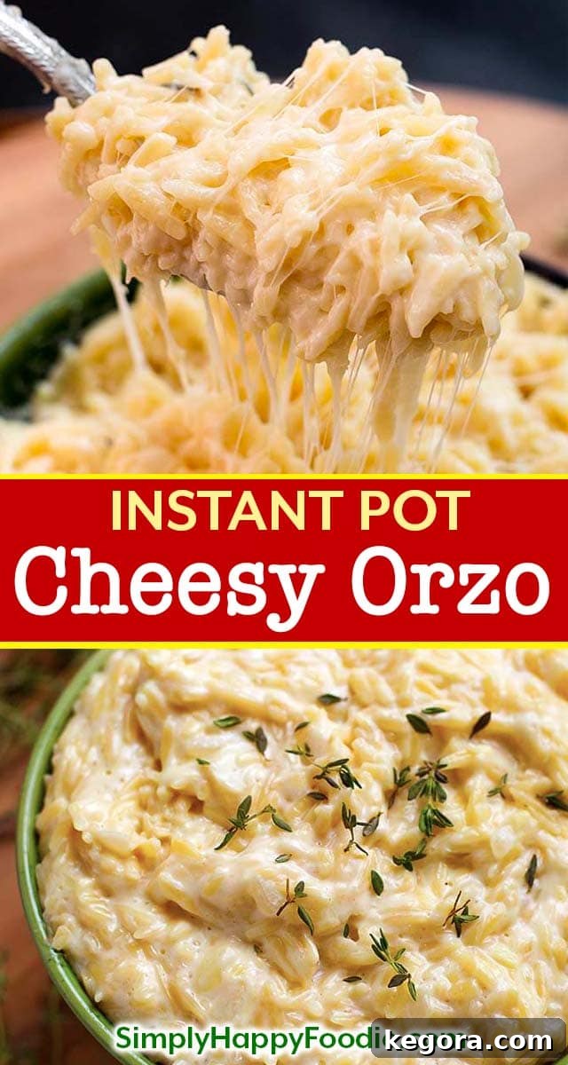Instant Pot Cheesy Garlic Orzo is a delicious pasta side dish, and those little orzo pasta grains become so soft and creamy. It is very easy and quick to make pressure cooker orzo pasta! Instant Pot recipes by simplyhappyfoodie.com #instantpotpasta #instantpotorzo