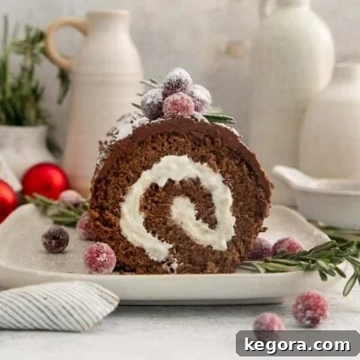 Close up image of chocolate yule log rolled up, showcasing the texture and rich color.