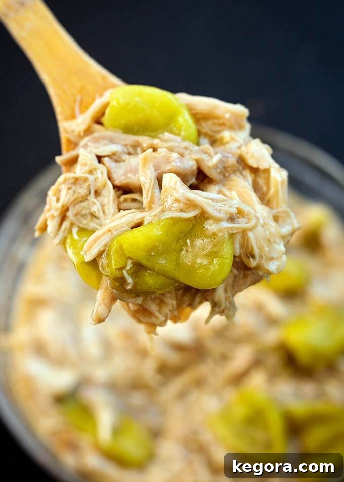 Close up view of a spoonful of tender shredded Mississippi Chicken on a wooden spoon, showcasing its rich texture and sauce.