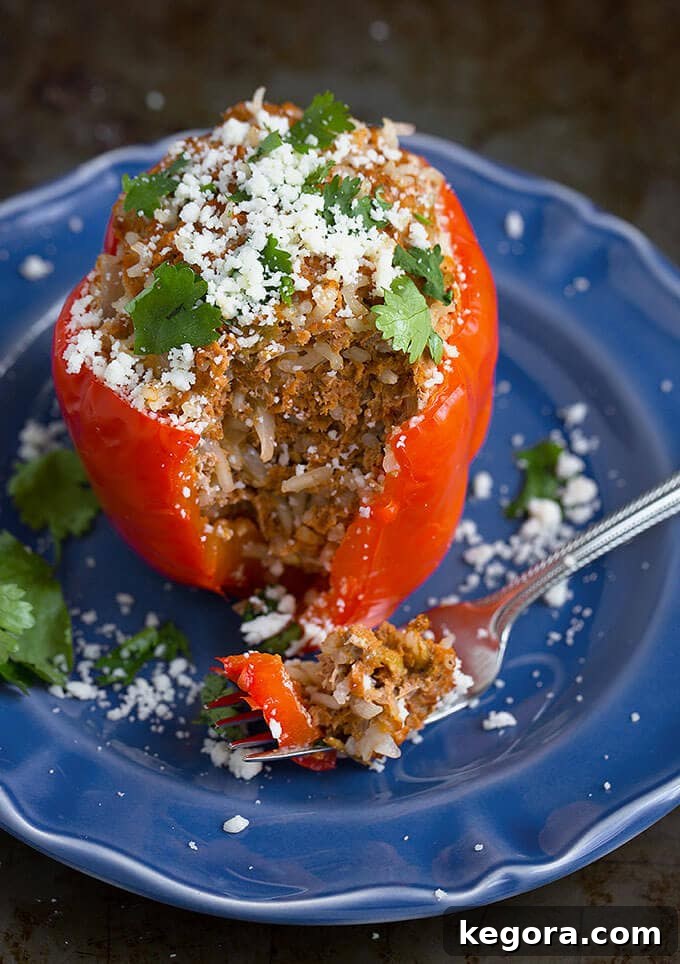 Instant Pot Fiesta Stuffed Peppers 3 A single Mexican Stuffed Pepper artfully placed on a blue plate, garnished with fresh cilantro, ready to be enjoyed with a fork.