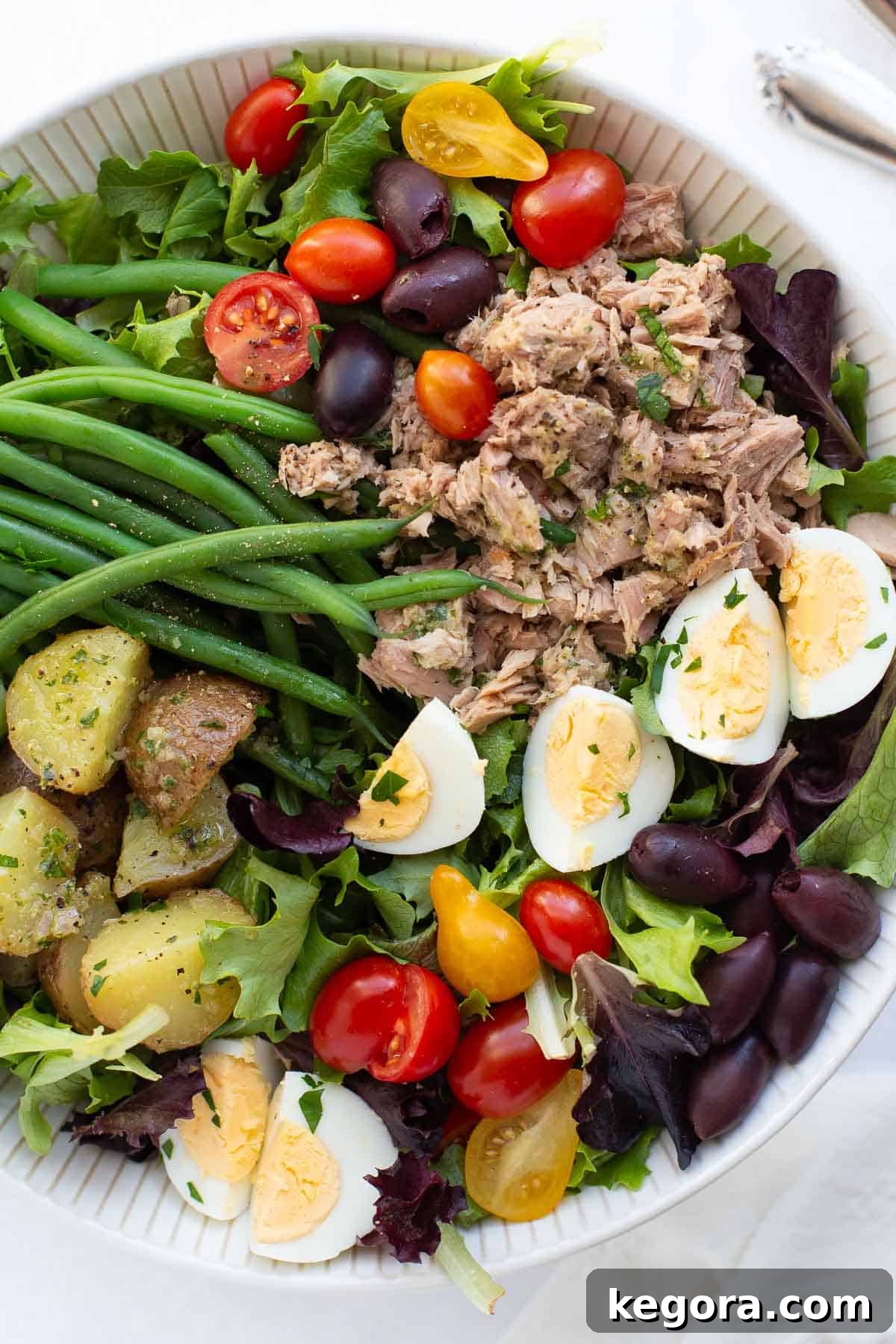Salad Nicoise Recipe Overhead shot of a beautifully arranged Salade Niçoise in a white bowl, ready to be served.