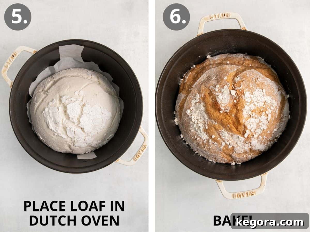 The final steps of baking gluten-free artisan bread: preheating a Dutch oven, scoring the dough, carefully placing it into the hot Dutch oven with ice cubes for steam, and then baking until golden brown.