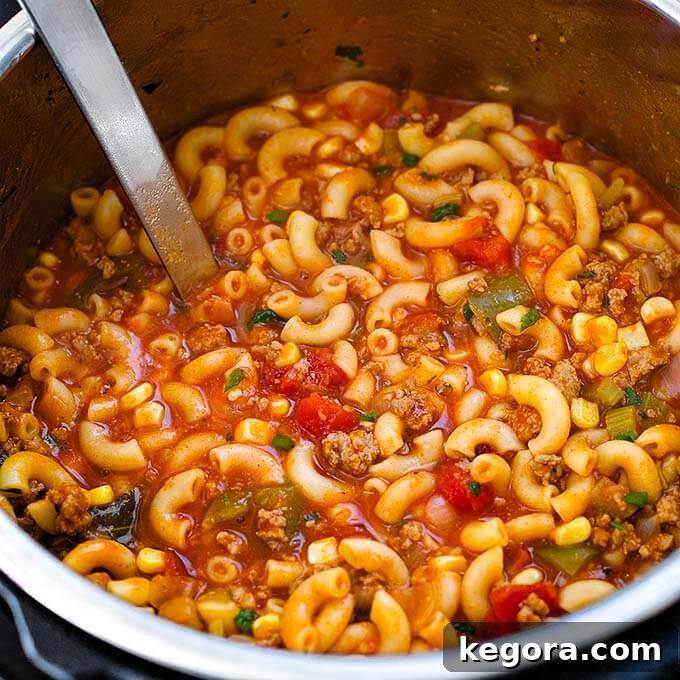 American Goulash in pressure cooker pot with serving ladle 
