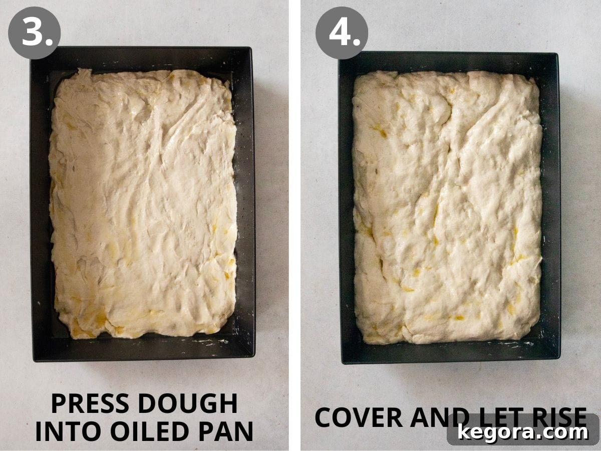 steps 3 and 4 press dough into oiled pan, cover, and let rise.
