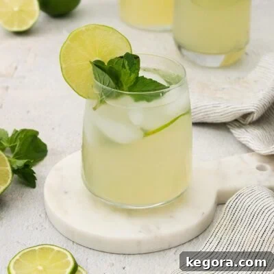 A glass of mint limeade, freshly prepared and garnished, suggesting a delightful homemade beverage.
