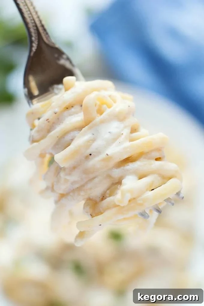 Close up forkful of Fettuccine Alfredo with chicken