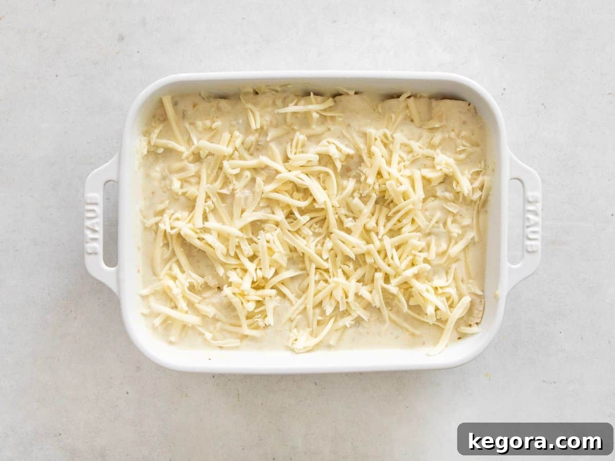 An overhead view of unbaked green chile chicken enchiladas arranged neatly in a baking dish, generously covered with sauce and shredded cheese.