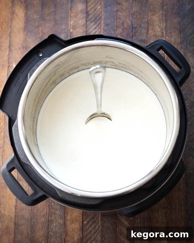 Effortless Instant Pot Yogurt 3 Yogurt in pressure cooker with a spoon standing straight in the yogurt, demonstrating its thickness.