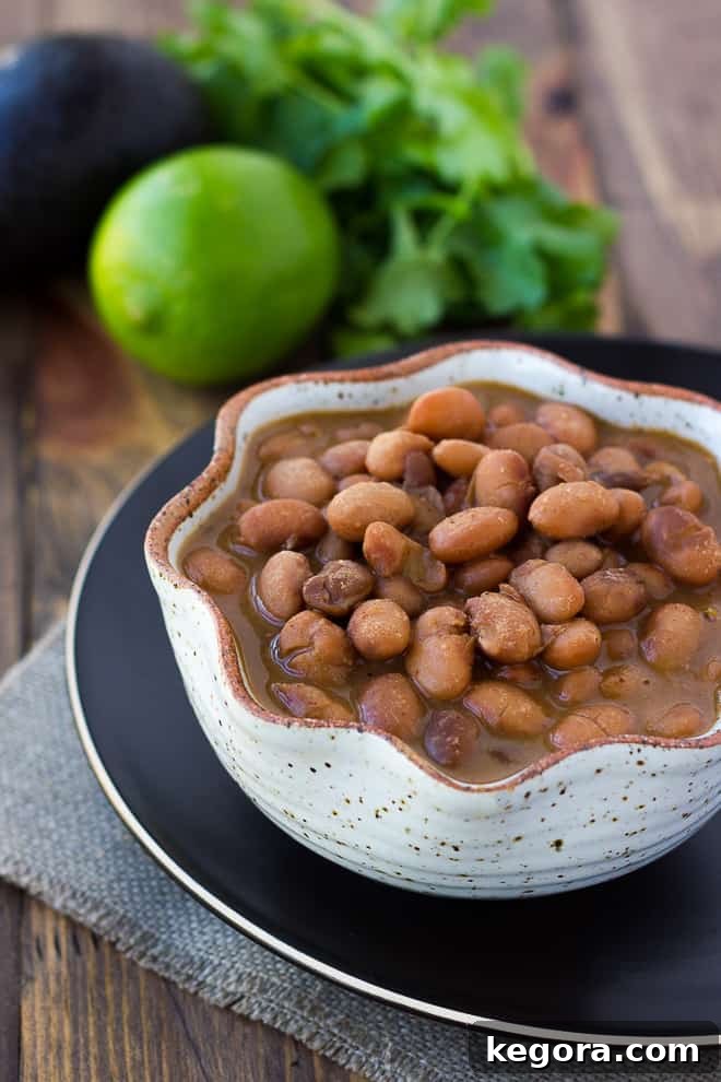 A bowl of rich, slow-cooked Mexican pinto beans, garnished with fresh cilantro, perfect as a side dish or a vegetarian main.