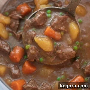 close up shot of beef stew being scooped with silver ladle