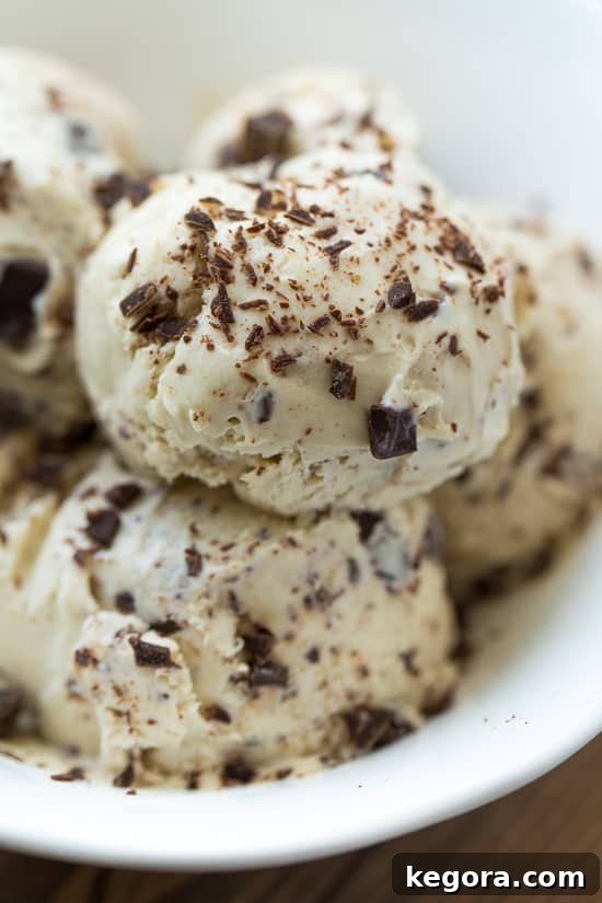 A scoop of real-deal vegan chocolate peanut butter ice cream in a bowl with a spoon, showing its creamy texture and chocolate chunks. Perfect for dairy-free indulgence.