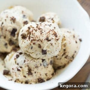 Real-Deal Vegan Chocolate Peanut Butter Ice Cream