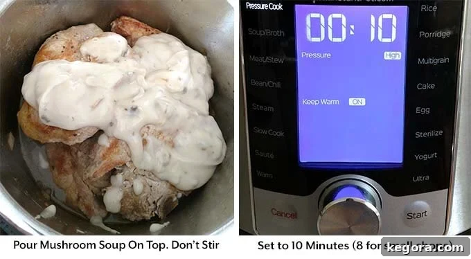 Hearty Instant Pot Pork Chops Smothered in Mushroom Gravy 5 A single process image showing the finished Instant Pot Pork Chops with Mushroom Gravy, ready for serving after the gravy has been thickened and sour cream added.