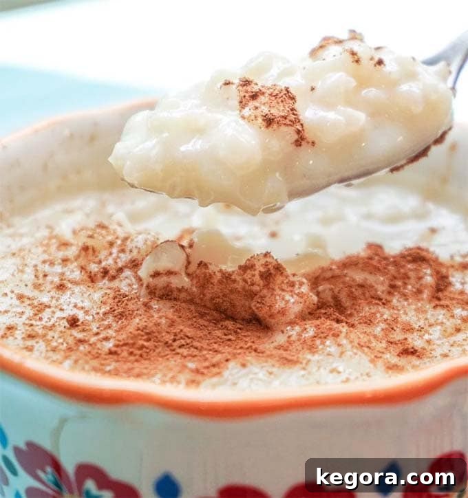 A closeup of a spoonful of creamy Arroz con Leche (rice pudding), sprinkled with cinnamon.