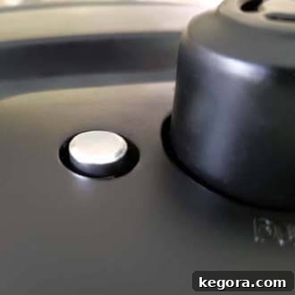 Instant Pot First Use Water Test 11 pin in the up position or pressurized position on an Instant Pot