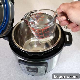 Instant Pot First Use Water Test 6 pouring water into the pressure cooker pot, a simple step for the Instant Pot water test