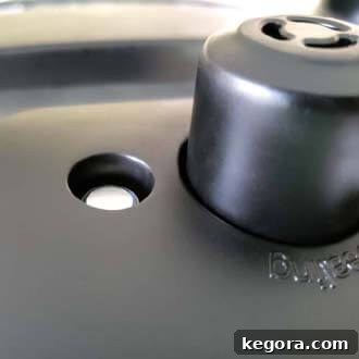 pin in the dropped position (left) and pin in the up position or pressurized position (right) on an Instant Pot