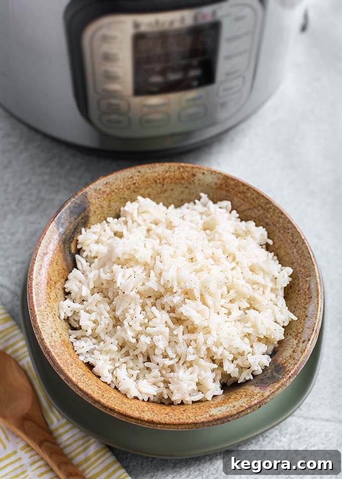 A bowl of fluffy white rice served in a brown stoneware bowl, with a modern pressure cooker visible in the background.