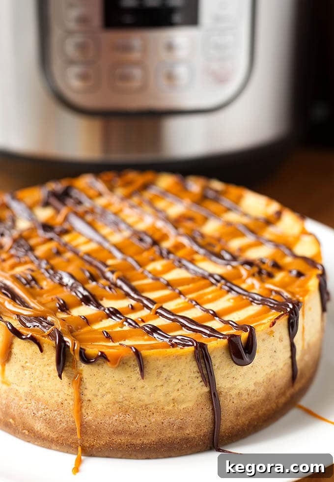 Pumpkin Cheesecake on a white plate in front of a pressure cooker