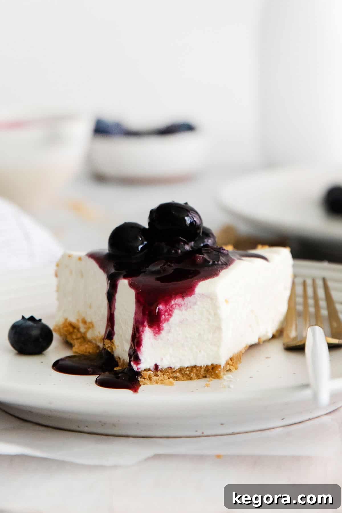 A perfectly portioned slice of gluten-free no-bake cheesecake on a white plate, topped with fresh blueberries.