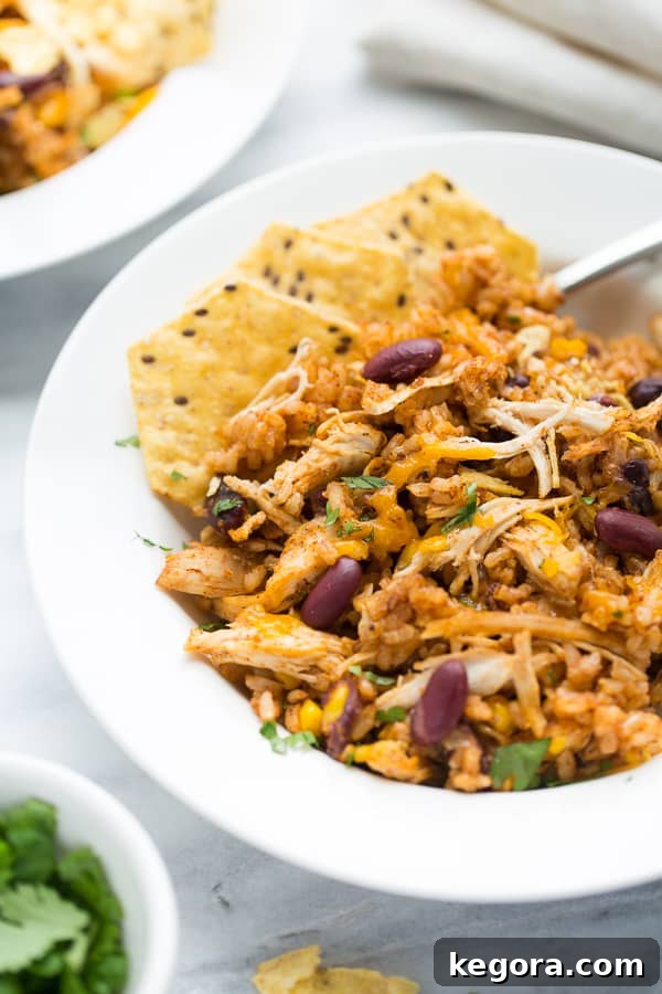 close up shot of chicken and rice in white bowl topped with tortilla chips and cheese