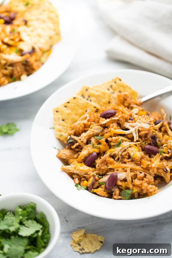 chicken and rice in white bowl topped with tortilla chips and cheese