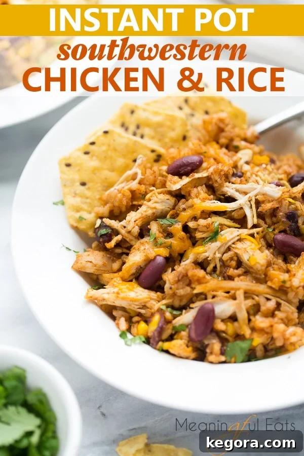 image for pinterest - close up shot of chicken and rice in white bowl with tortilla chips