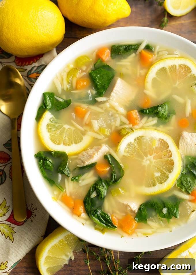 Pressure Cooker Lemon Chicken Orzo Delight 2 Instant Pot Lemon Chicken Orzo Soup in a white bowl