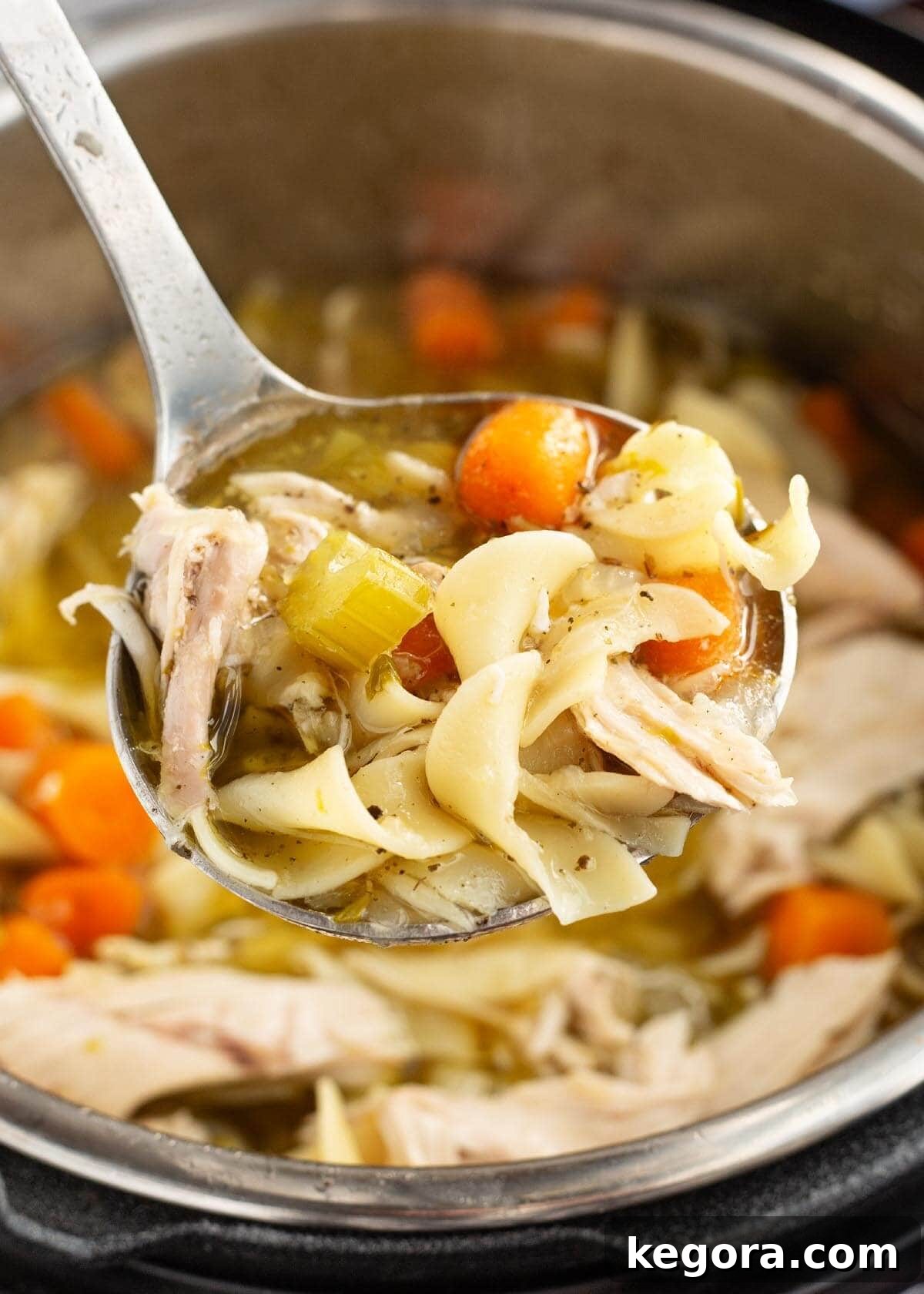 A ladle lifts a portion of savory chicken noodle soup, revealing tender chicken, vibrant carrots, and fresh herbs.