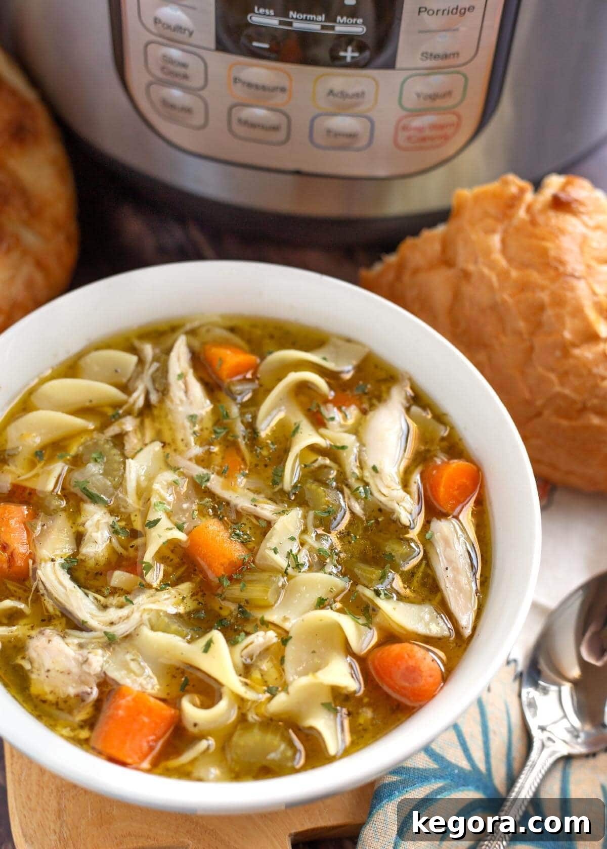 A cozy and inviting bowl of Instant Pot Chicken Noodle Soup, steaming gently, promises warmth and satisfaction.