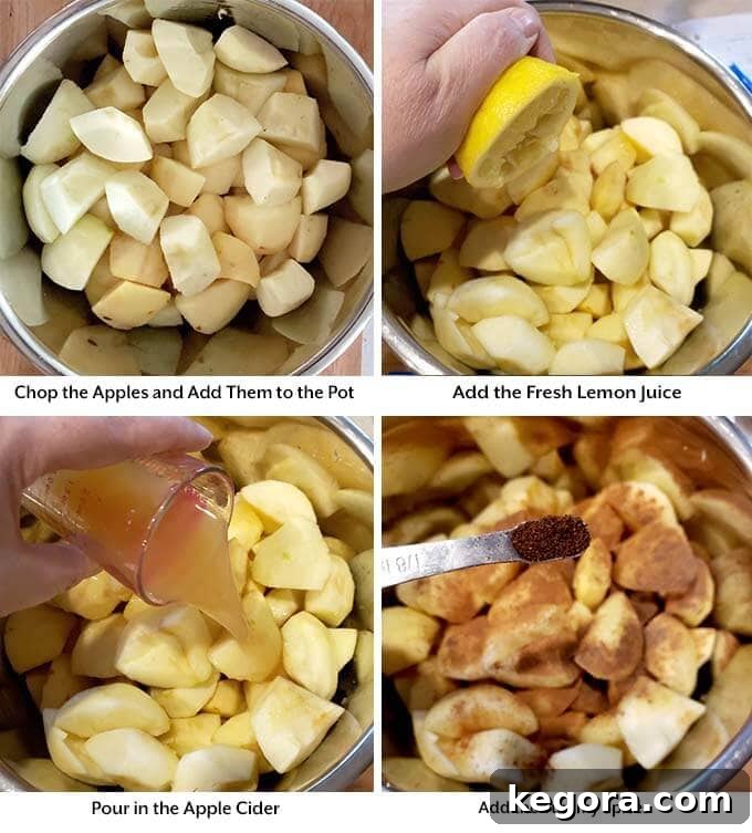 Quick Homemade Instant Pot Apple Butter 5 Four process images showing chopped apples added to the pressure cooker pot, as well as the addition of fresh lemon juice, apple cider, and spice
