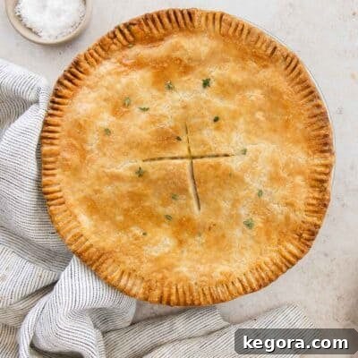 Hearty Gluten-Free Chicken Pot Pie with a Tangy Sour Cream Crust 9 An overhead view of gluten-free chicken pot pie.