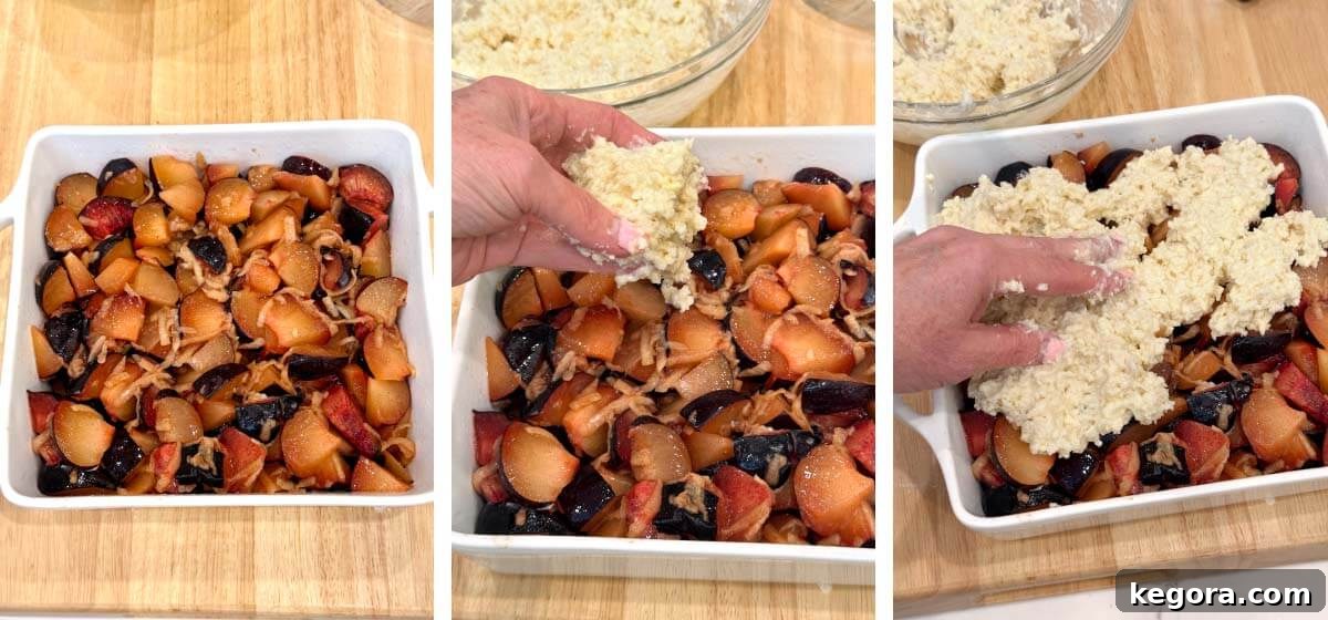 Homemade Plum Cobbler with Cinnamon Crumble 7 plum mixture added to baking dish, hand placing biscuit topping dough onto plum mixture. hand adding remaining biscuit topping dough