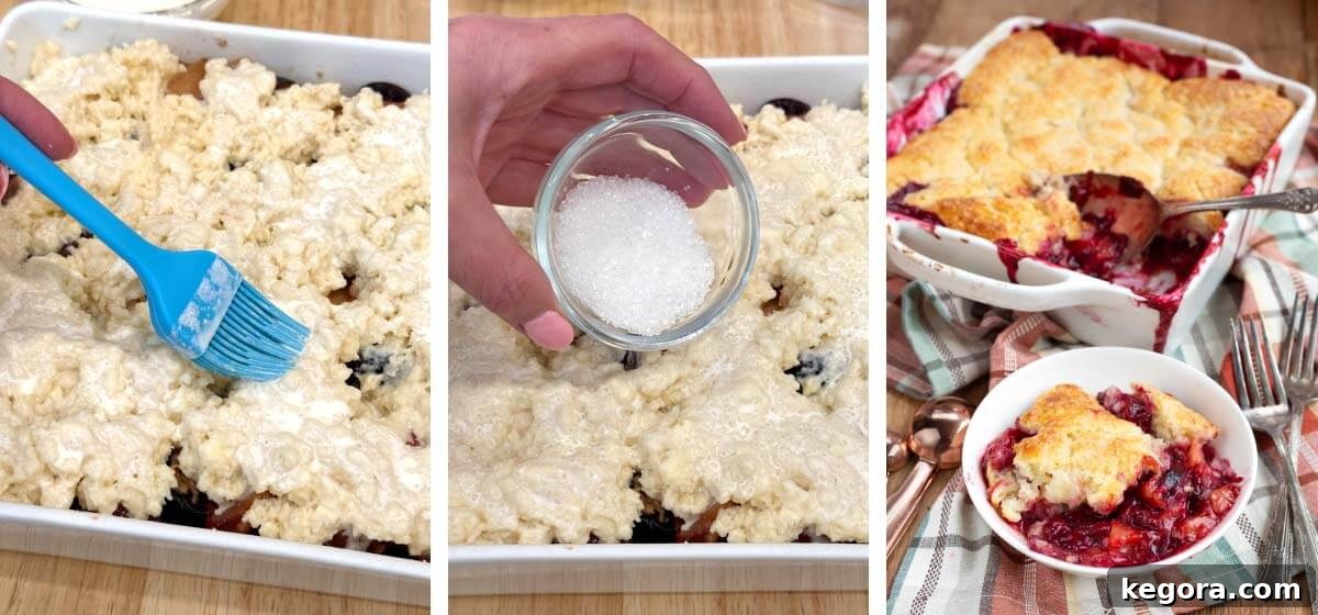 Homemade Plum Cobbler with Cinnamon Crumble 8 brushing buttermilk over biscuit topping dough, hand holding dish of coarse sugar above dough, finished hero of cobbler baked and served