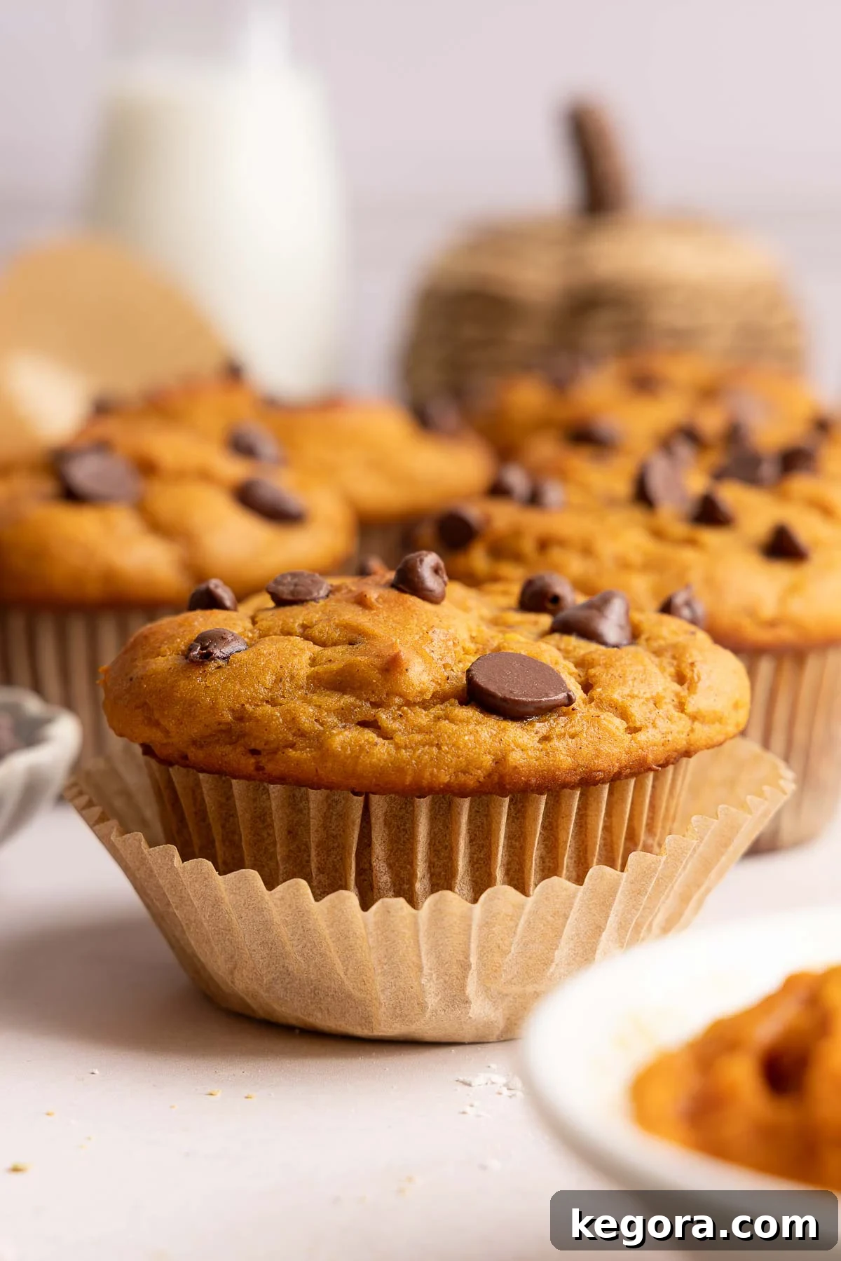 A close-up of a pumpkin protein muffin with chocolate chips in a paper liner, surrounded by more muffins and a blurred background of milk and a decorative pumpkin.