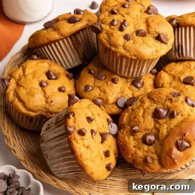 A wicker basket filled with pumpkin protein muffins topped with chocolate chips, with a small bowl of chocolate chips nearby.